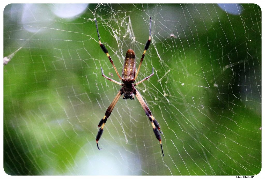 Is Costa Rica Safe to Travel? Honest Experiences and Essential Safety Tips