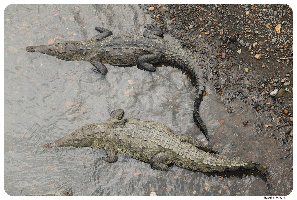 Is Costa Rica Safe to Travel? Honest Experiences and Essential Safety Tips