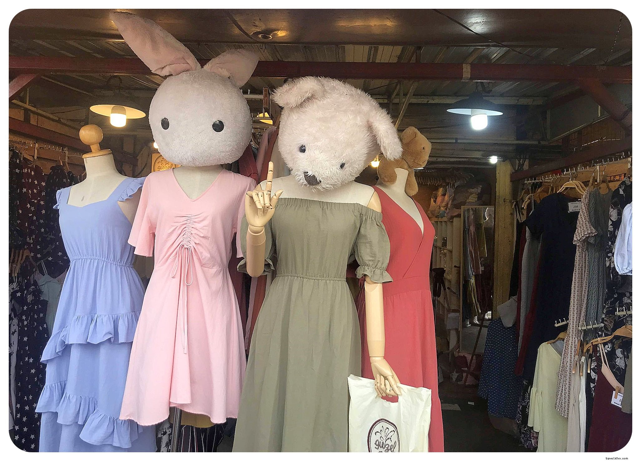 Vietnam Travel Budget: My Real Costs Breakdown for a Frugal Trip