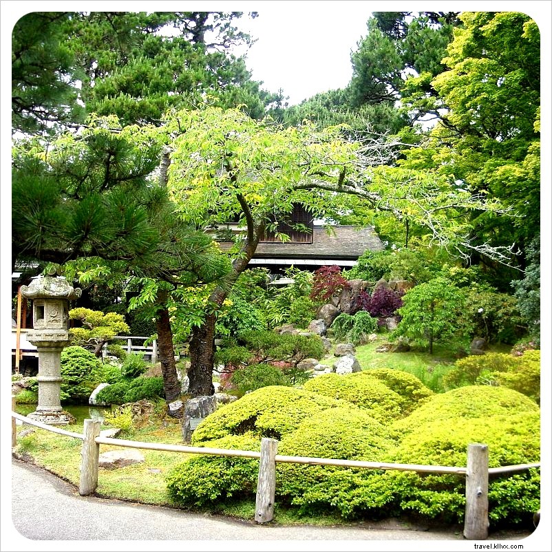 Golden Gate Park: San Francisco s Largest Urban Oasis and Must-See Attraction