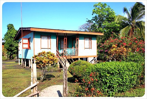 33 Unforgettable Reasons We Love Costa Rica: Beaches, Wildlife & Pura Vida