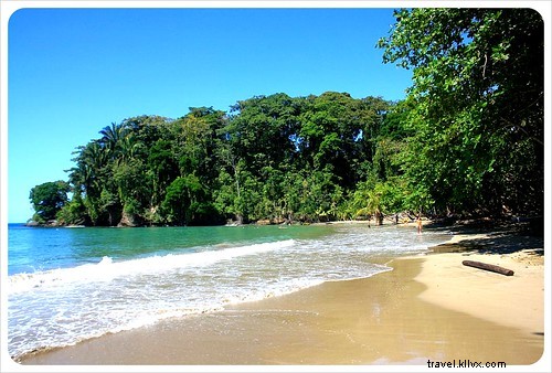 33 Unforgettable Reasons We Love Costa Rica: Beaches, Wildlife & Pura Vida