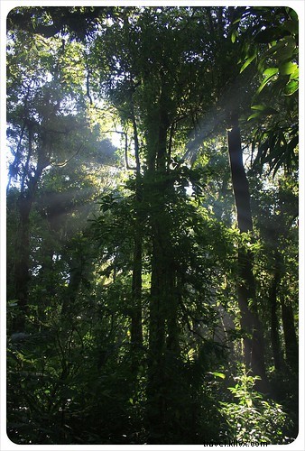 33 Unforgettable Reasons We Love Costa Rica: Beaches, Wildlife & Pura Vida