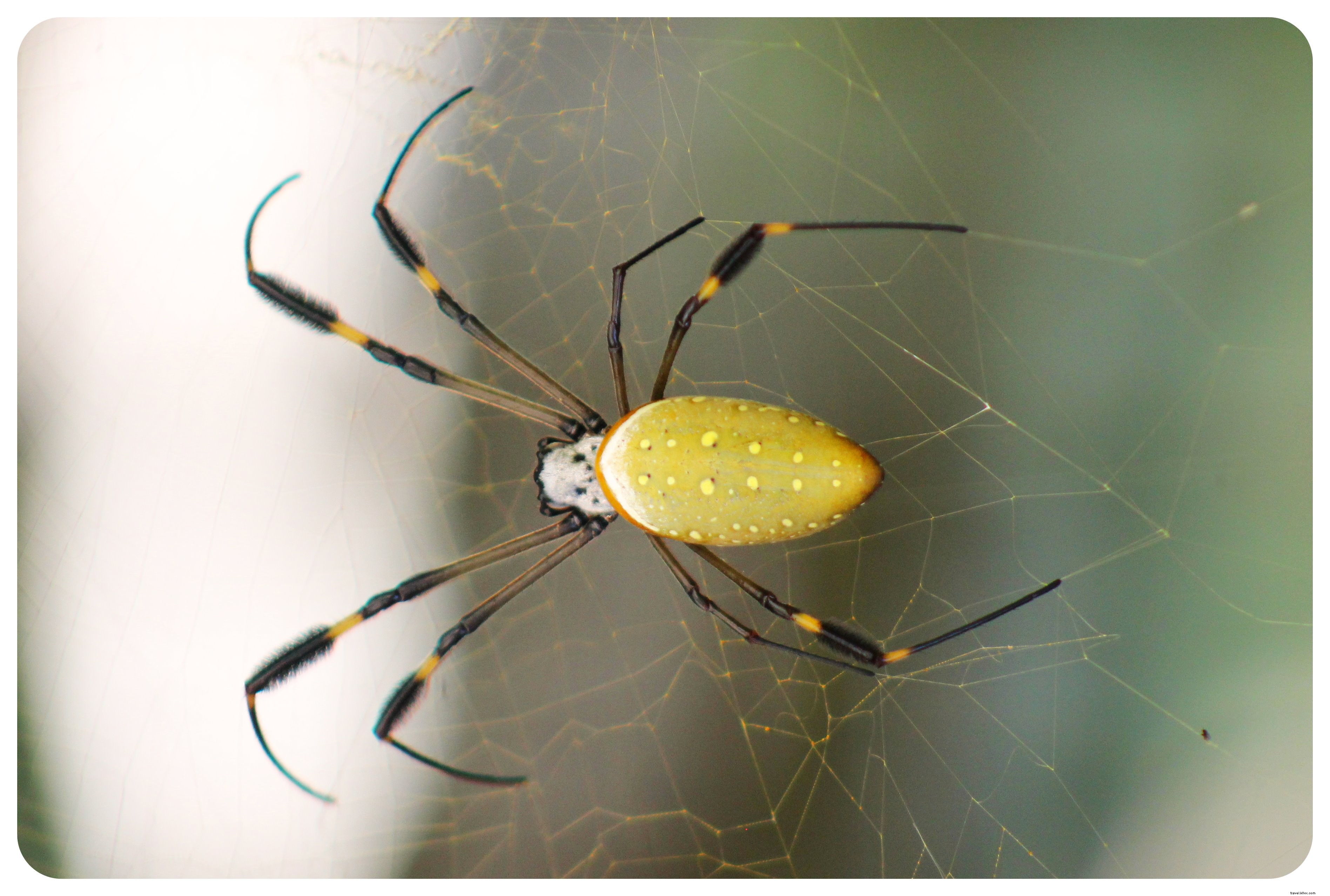 Is Colombia Safe for Solo Female Travelers? My 10-Week Experience and Essential Safety Tips