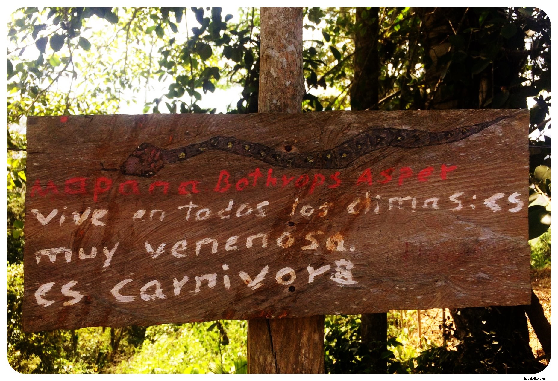 Is Colombia Safe for Solo Female Travelers? My 10-Week Experience and Essential Safety Tips