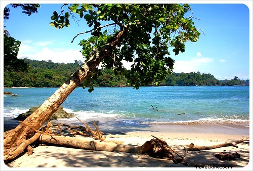 Manuel Antonio vs. Cahuita: Comparing Costa Rica s Premier National Parks