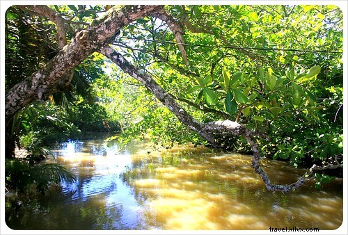 Manuel Antonio vs. Cahuita: Comparing Costa Rica s Premier National Parks