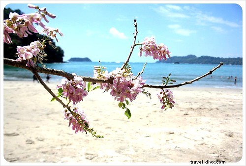 Manuel Antonio vs. Cahuita: Comparing Costa Rica s Premier National Parks