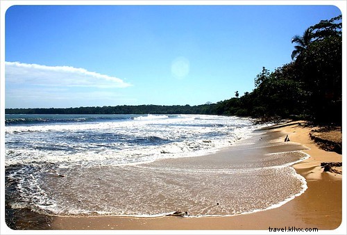 Manuel Antonio vs. Cahuita: Comparing Costa Rica s Premier National Parks