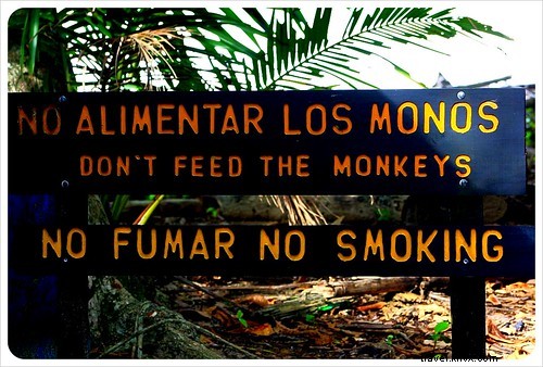 Manuel Antonio vs. Cahuita: Comparing Costa Rica s Premier National Parks