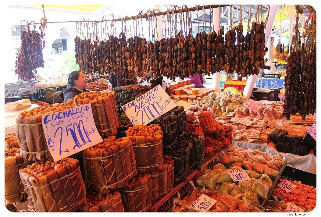 Discover Valdivia s Authentic Charm: A Hidden Gem in Southern Chile