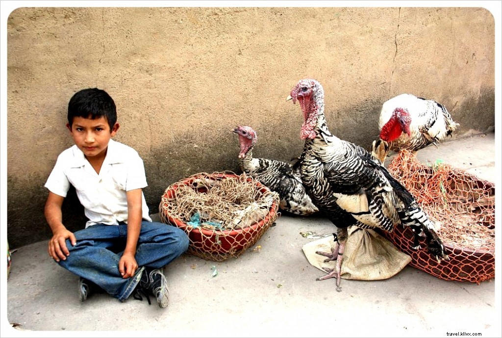 Beyond the Copán Maya Ruins: Unmissable Experiences in Copán Ruinas, Honduras