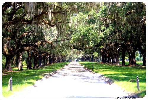 Discovering the Authentic South: An Insider s Guide to Charleston, South Carolina