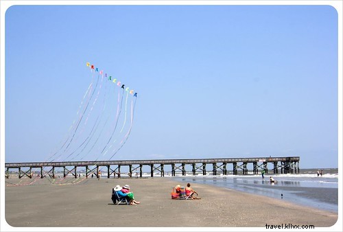 Discovering the Authentic South: An Insider s Guide to Charleston, South Carolina