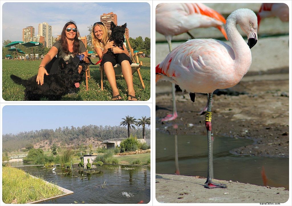 33 Captivating Reasons to Love Santiago de Chile: Our Insider Highlights