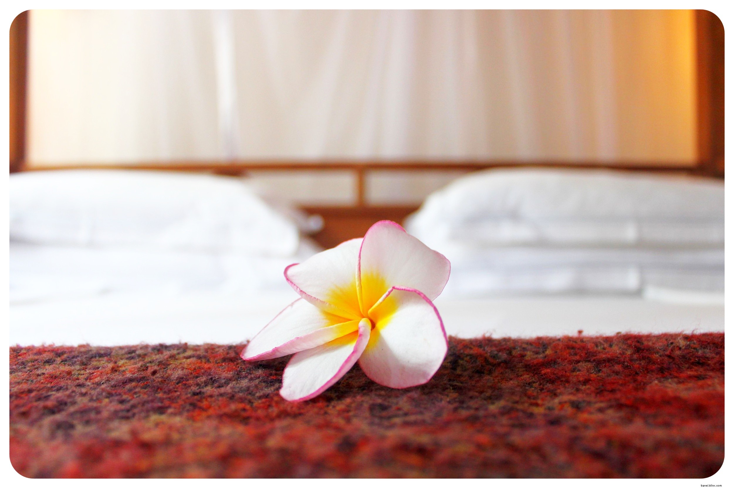 How to Start Travel Hacking: Beginner s Guide to Free Flights and Hotels with Chase Ultimate Rewards