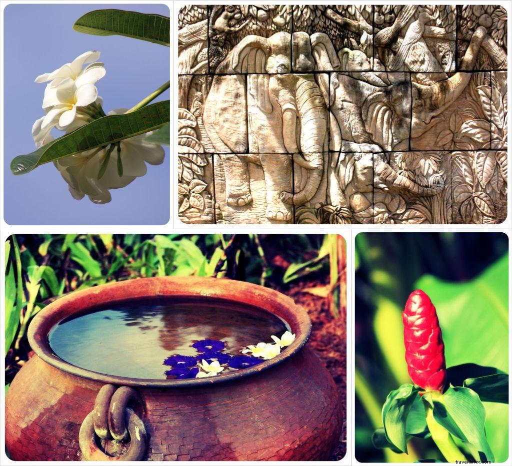 Hotel Tip of the Week: Tropicana Lanta Resort – Secluded Bliss in Koh Lanta