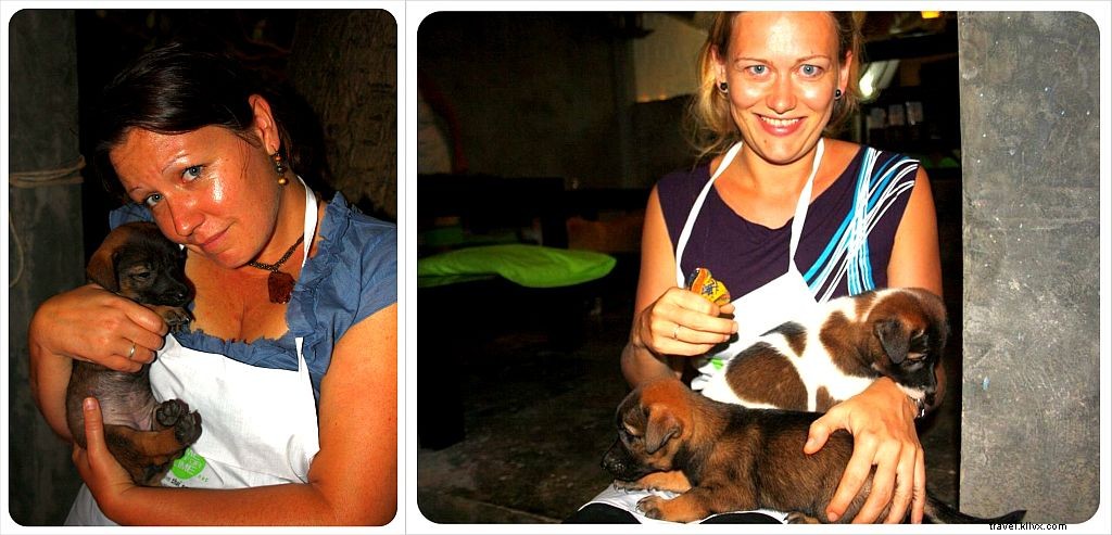Authentic Beachfront Thai Cooking Class at Time for Lime on Koh Lanta: A Hands-On Experience Supporting Animal Welfare