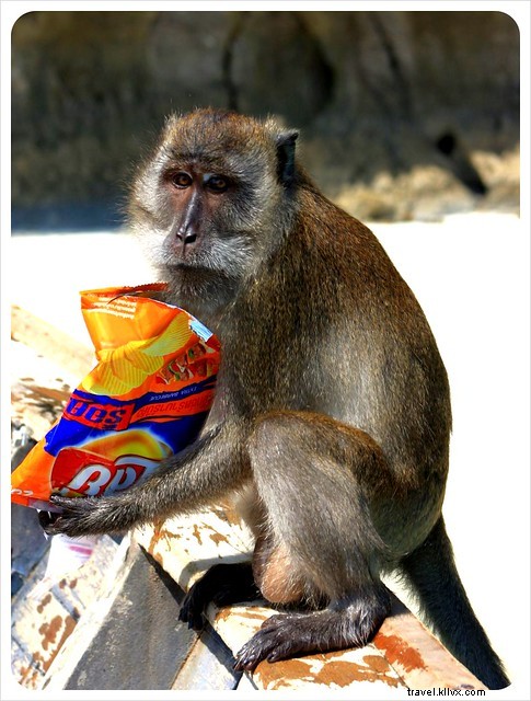 The Reality of Visiting Maya Bay: Why Our  The Beach  Dream Trip Fell Flat