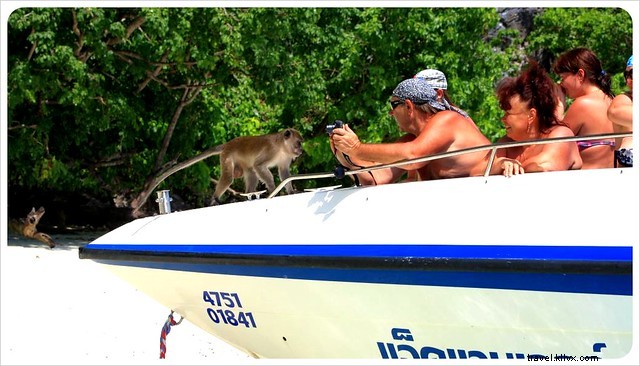 The Reality of Visiting Maya Bay: Why Our  The Beach  Dream Trip Fell Flat