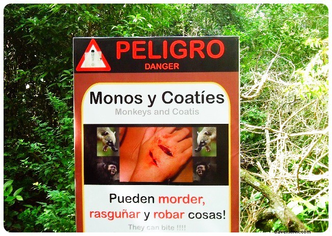 6 Surprising Truths About Visiting Iguazu Falls: Insider Tips from Seasoned Travelers