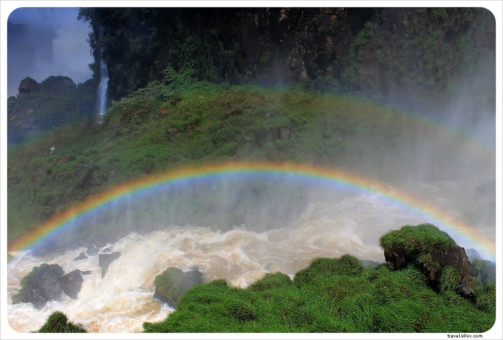6 Surprising Truths About Visiting Iguazu Falls: Insider Tips from Seasoned Travelers
