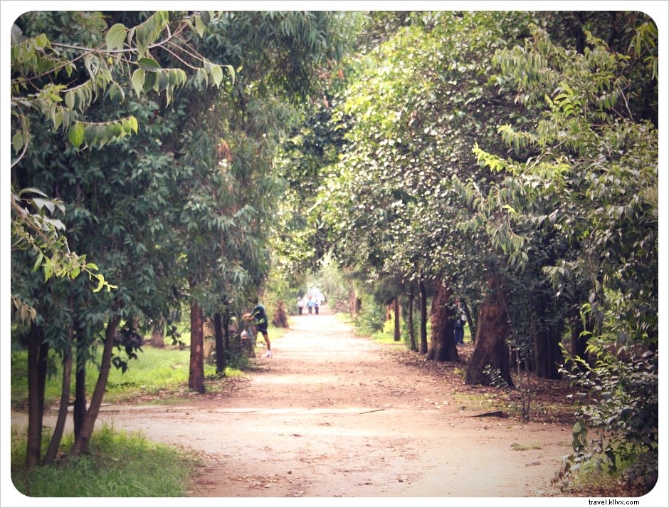 Viveros de Coyoacán: Mexico City s Lush Green Oasis and Premier Outdoor Gym