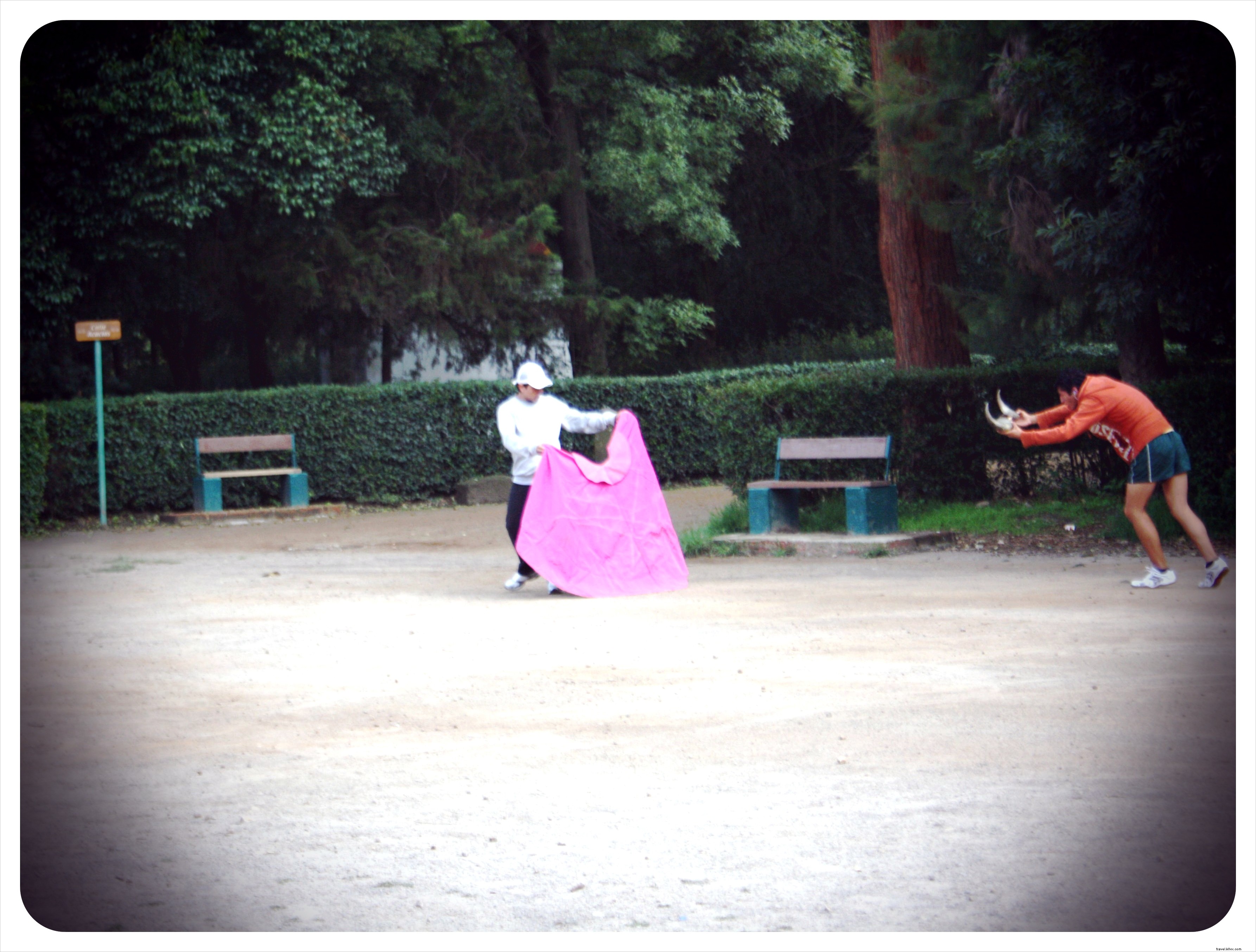 Viveros de Coyoacán: Mexico City s Lush Green Oasis and Premier Outdoor Gym
