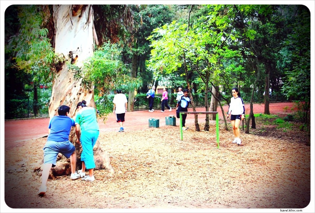 Viveros de Coyoacán: Mexico City s Lush Green Oasis and Premier Outdoor Gym
