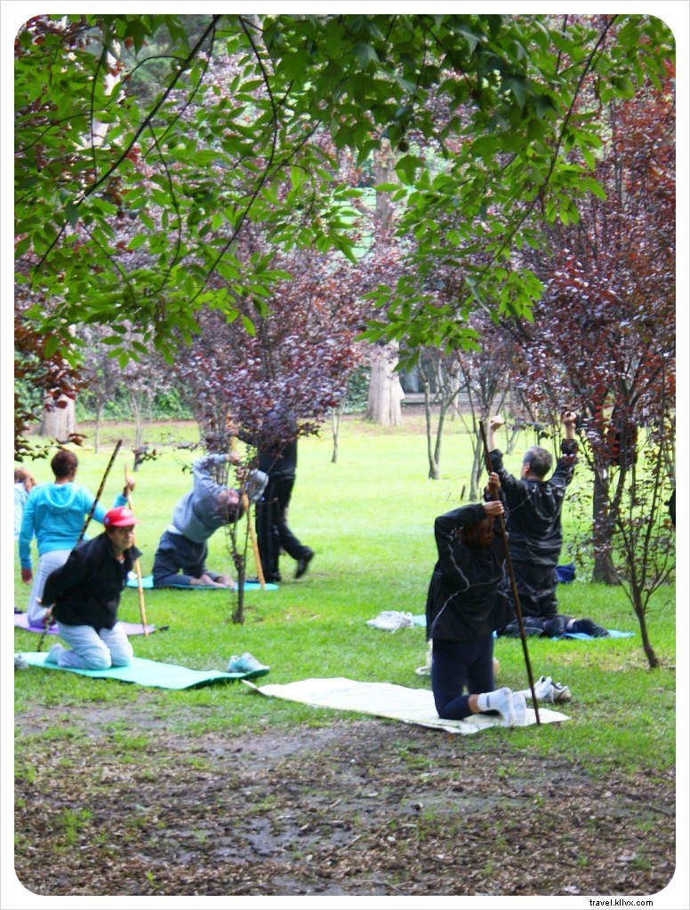 Viveros de Coyoacán: Mexico City s Lush Green Oasis and Premier Outdoor Gym