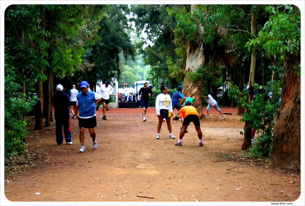 Viveros de Coyoacán: Mexico City s Lush Green Oasis and Premier Outdoor Gym