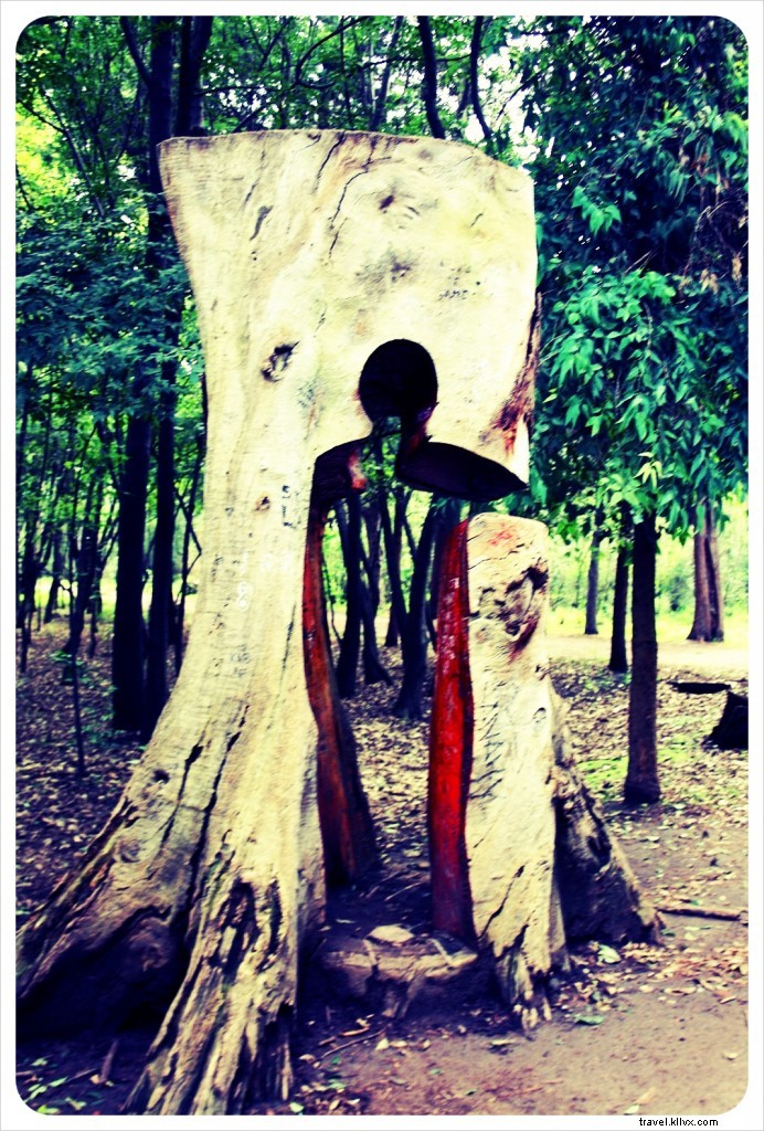 Viveros de Coyoacán: Mexico City s Lush Green Oasis and Premier Outdoor Gym