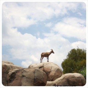 Ultimate Guide: Explore Mexico City on a Shoestring Budget with Free Attractions and Tips