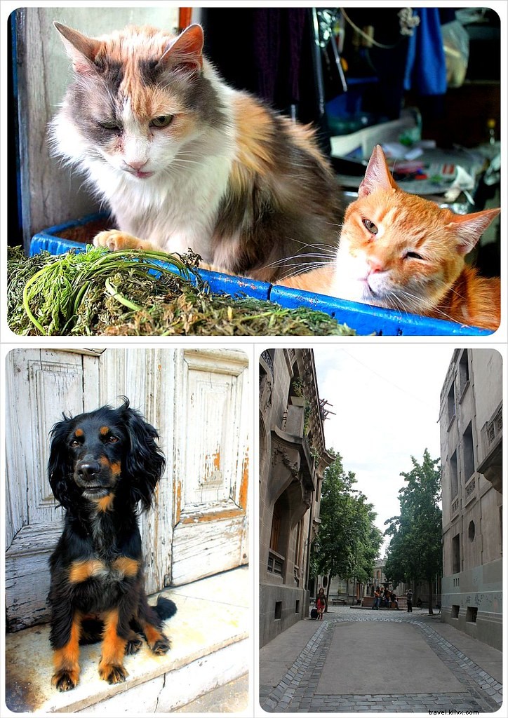 Beyond the Center: Hidden Gems and Off-the-Beaten-Path Spots in Santiago, Chile