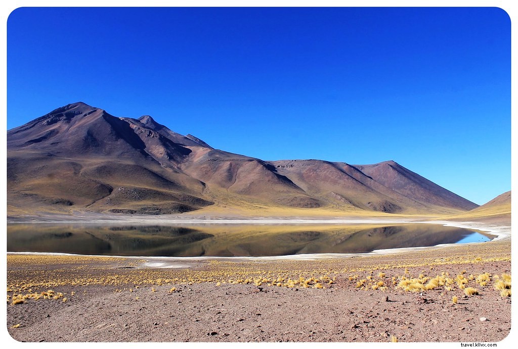 Atacama Desert Must-Sees: Geysers, Salt Flats, Flamingos & Top Tours from San Pedro