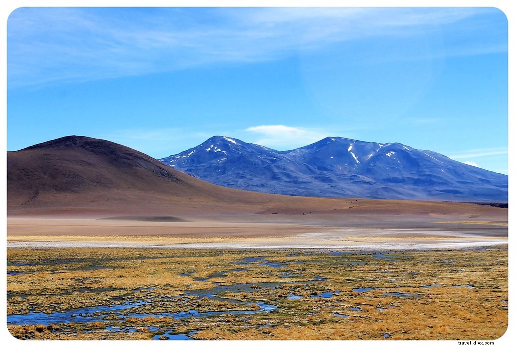 Atacama Desert Must-Sees: Geysers, Salt Flats, Flamingos & Top Tours from San Pedro