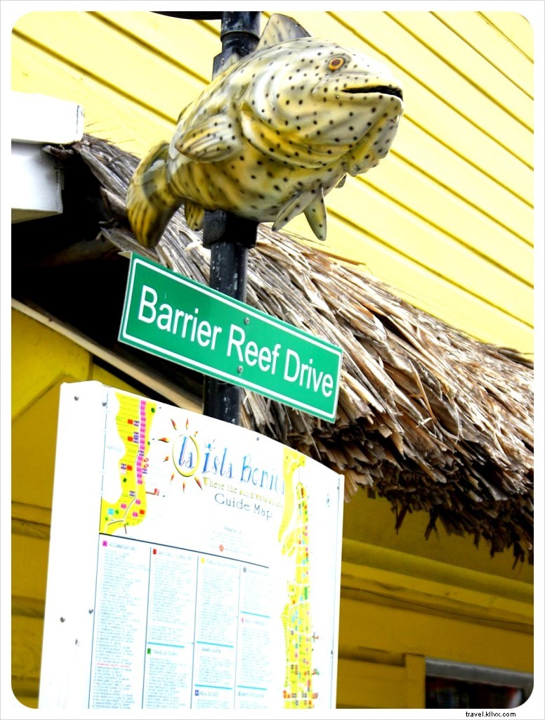 Ambergris Caye vs. Caye Caulker: Which Belize Northern Caye Suits Your Travel Style?