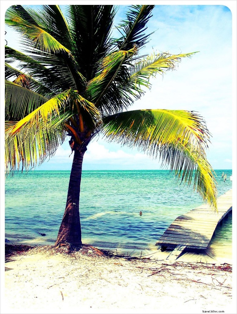 Ambergris Caye vs. Caye Caulker: Which Belize Northern Caye Suits Your Travel Style?