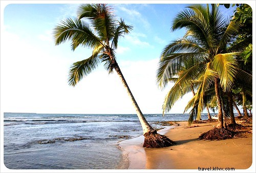 Biking Costa Rica s Caribbean Coast: Puerto Viejo to Manzanillo Guide