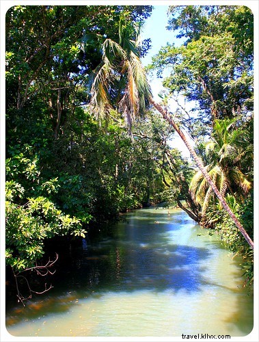 Biking Costa Rica s Caribbean Coast: Puerto Viejo to Manzanillo Guide