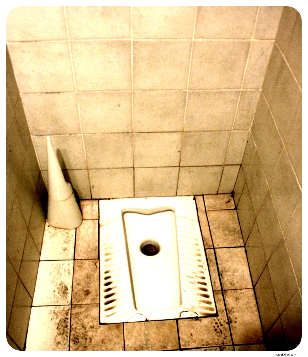 First Impressions of Italy: Cats, Coffee, and Tuscan Charms from Seasoned Travelers