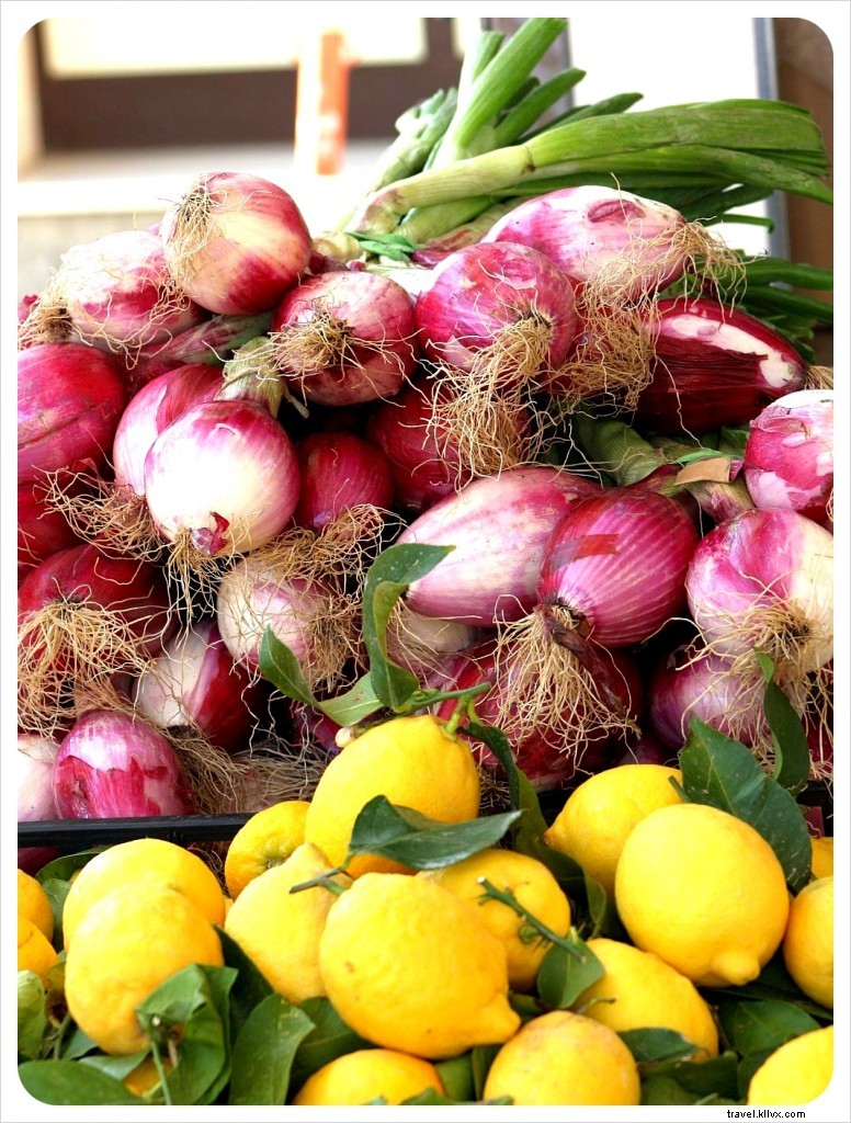 First Impressions of Italy: Cats, Coffee, and Tuscan Charms from Seasoned Travelers