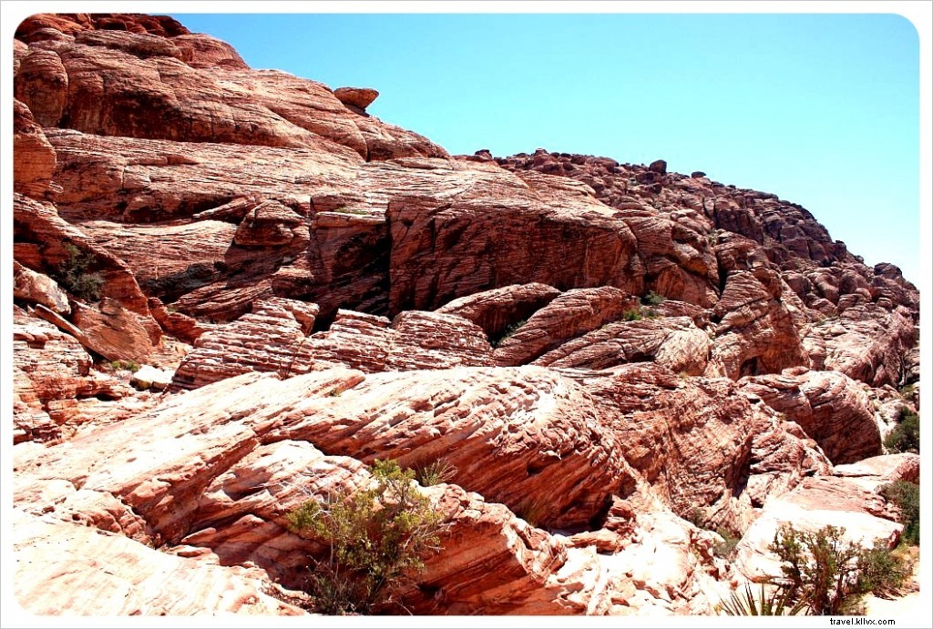 Top Day Trips from Las Vegas: Red Rock Canyon, Grand Canyon Tours & Hoover Dam
