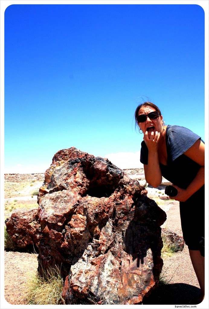 Highlights and Lowlights: Our First 100 Days Traveling California, Arizona, Nevada, and Mexico