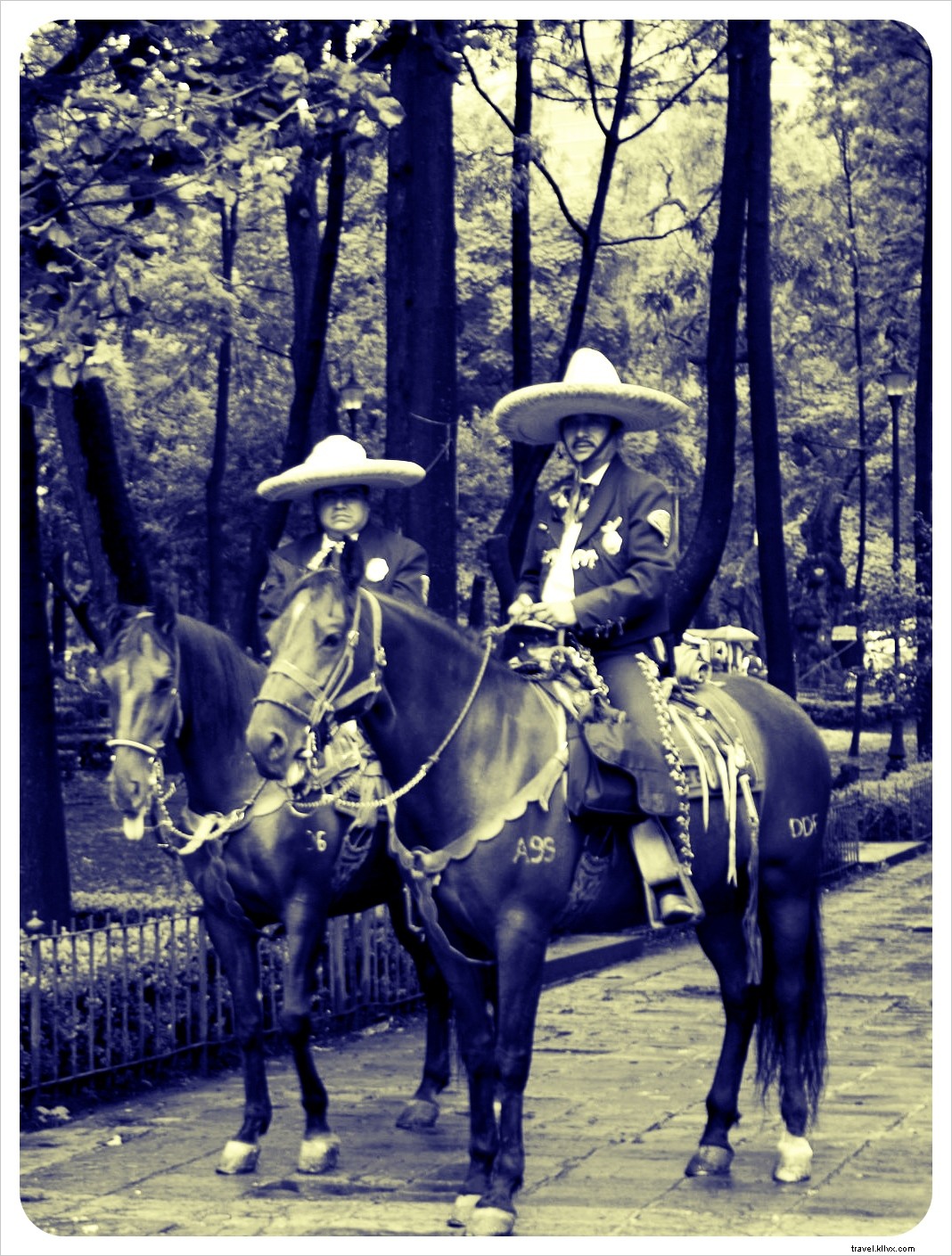 Reflecting on Our First 100 Days of World Travel: Highlights, Lessons, and Adventures