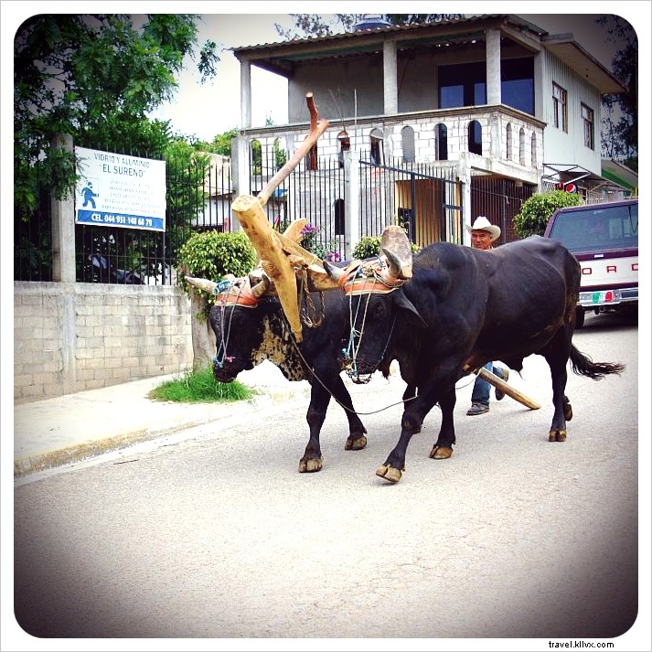 Reflecting on Our First 100 Days of World Travel: Highlights, Lessons, and Adventures