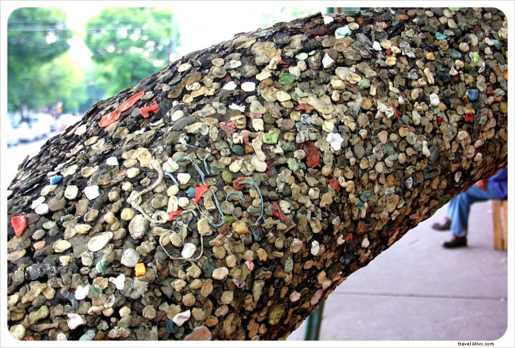 Reflecting on Our First 100 Days of World Travel: Highlights, Lessons, and Adventures