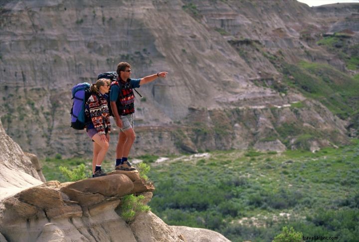 Essential Qualities of the Perfect Hiking Shoe: Expert Guide