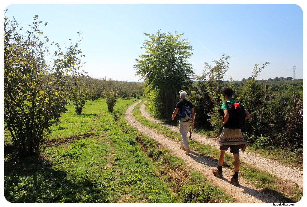 Essential Qualities of the Perfect Hiking Shoe: Expert Guide