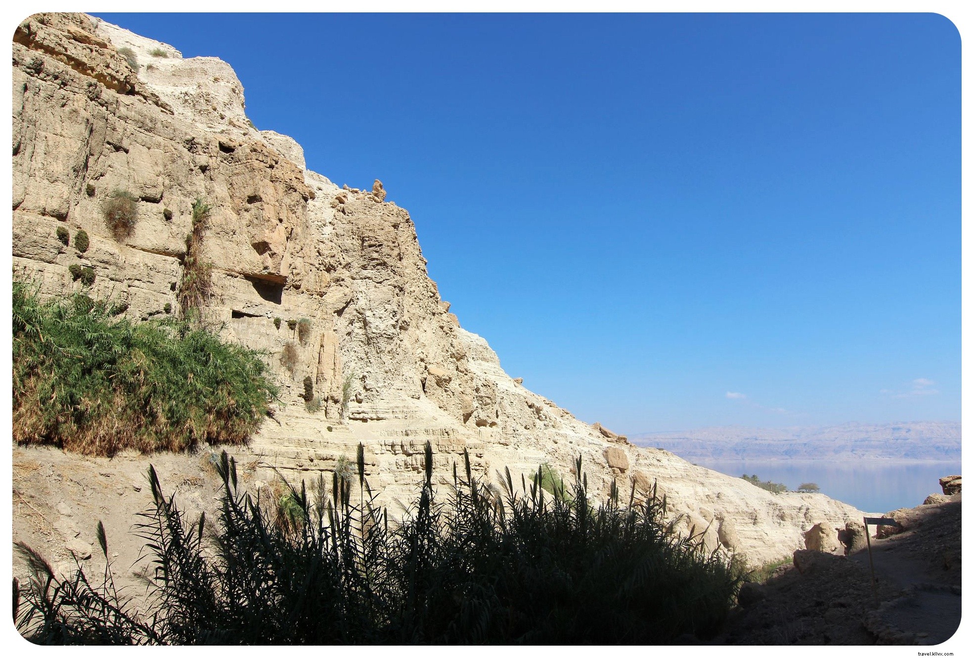 Top 5 Must-Visit Nature and Wildlife Areas in Israel